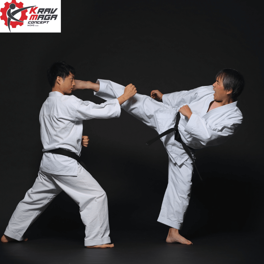 Art martial à krav maga mons 